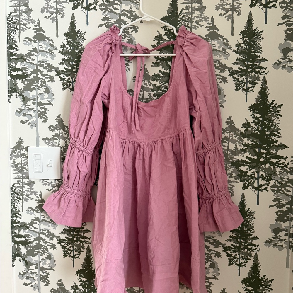 Pilcro Mauve Mini Dress with Ruffled Sleeves